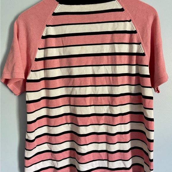 🐆 Alia Knit Pullover Short Sleeve Crew Neck Sweater - Picture 2 of 3